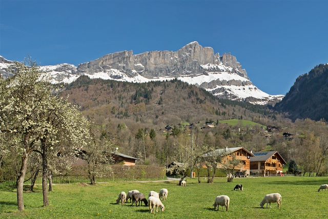 Voyage Les panoramas du Mont-Blanc