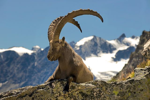 Voyage Tour de la Clarée et mont Thabor