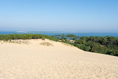 Dune du Pyla (ou Pilat), bassin Arcachon - France