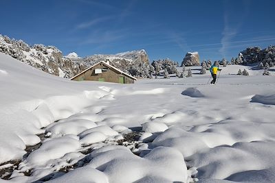 Hauts plateaux du Vercors - France