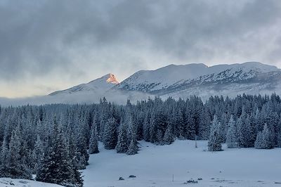 Vercors en hiver - France