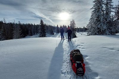 Randonnée en raquettes et pulka - Vercors - France