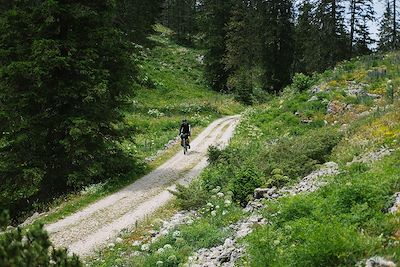 Gravel dans le Vercors - France