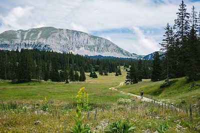 Gravel dans le Vercors - France