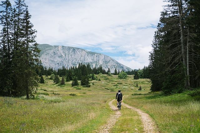 Voyage Gravel au cœur du Vercors : terroir et nature