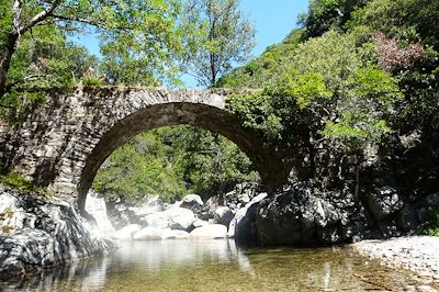 Le massif du Caroux - Parc naturel du Haut-Languedoc - France