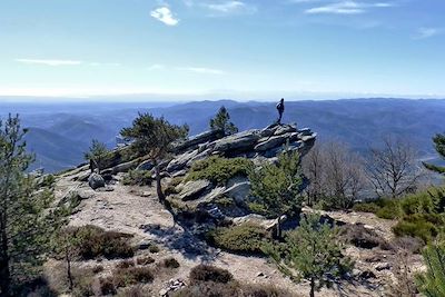 Plateau du Caroux - France