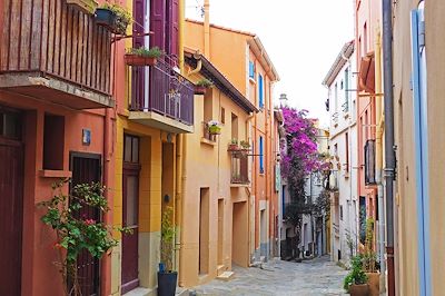 Rue de Collioure - Pyrénées-Orientales - France