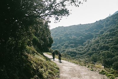 VTT - Côte Vermeille - France