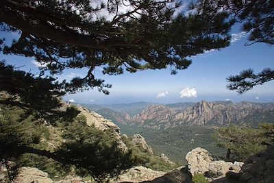 Col de Bavella - Corse