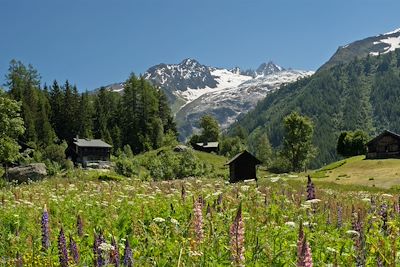 Tour du mont Blanc - Alpes du Nord - France