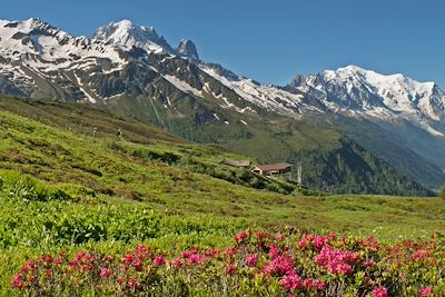 Tour du mont Blanc - Alpes du Nord - France