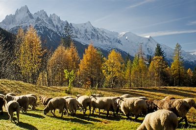 Tour du mont Blanc - Alpes du Nord - France