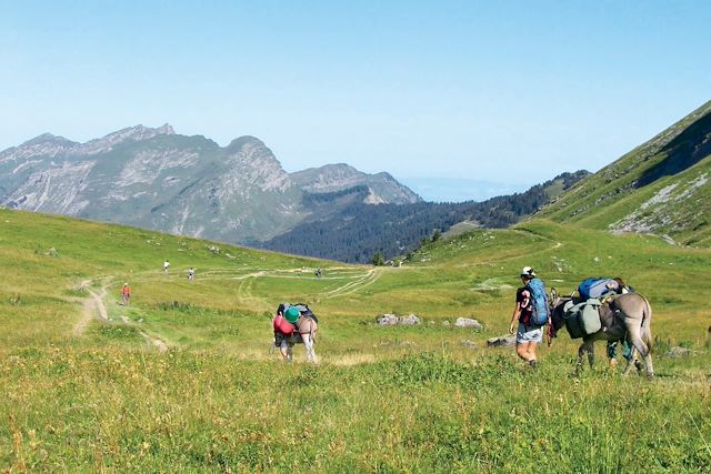 Voyage Balade avec un âne entre Léman et Mont-Blanc