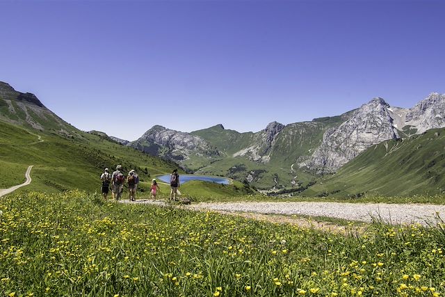 Voyage Balade avec un âne entre Léman et Mont-Blanc