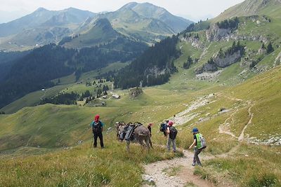 Col de Coux - Haute-Savoie - France