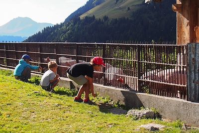 Ferme de Freterolles - Haute-Savoie - France