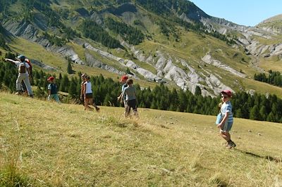 Le pâturage de Vachère - France