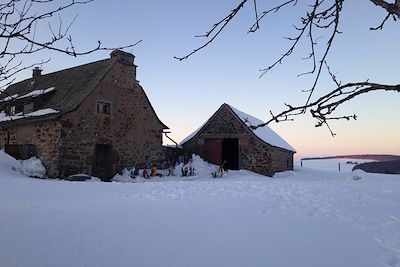 Neige - Aubrac - France