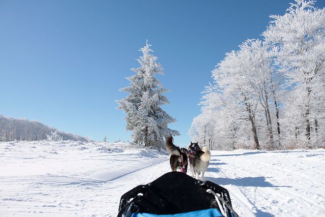 Voyage Aventures hivernales sur le plateau de l'Aubrac