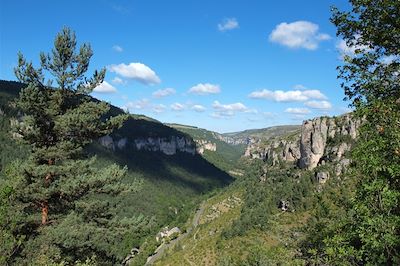 Gorges du Tarn - Massif Central - France