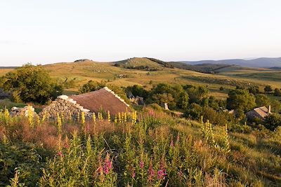 Hameau de l'Hôpital - Mont-Lozère - Parc National des Cévennes - Lozère - France