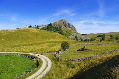 Traversée du Massif Central : du Cantal à l'Aubrac - France