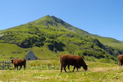 Traversée du Massif Central : du Cantal à l'Aubrac - France