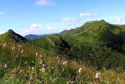 Cantal - France