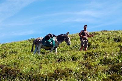 Cantal - France