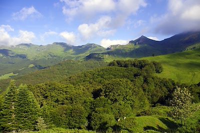 Cantal - France