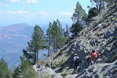 Mont Ventoux - Provence - France