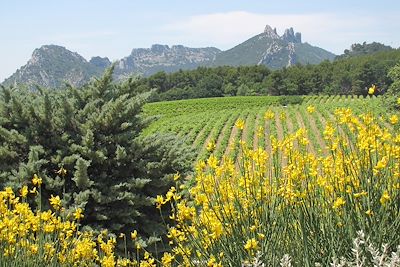 Dentelles du Montmirail - Provence - France