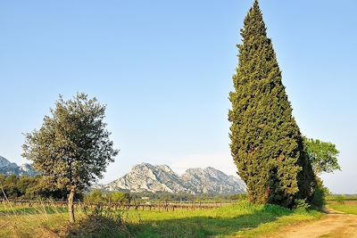 Alpilles - Provence - France