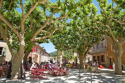 Maussane-les-Alpilles - Provence - France