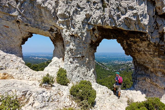 Voyage À travers les Alpilles, sur les pas de Van Gogh