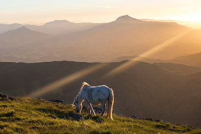 Coucher de soleil sur la Rhune - Itxassou - Pays-Basque - France