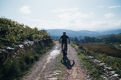 VTT - Côte Vermeille - France