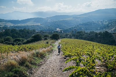 VTT - Côte Vermeille - France