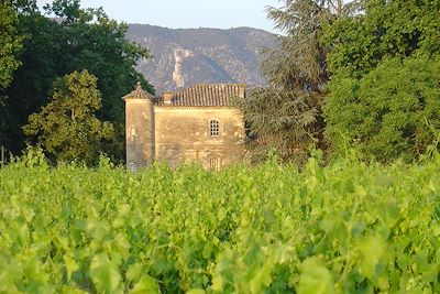 Lubéron - France