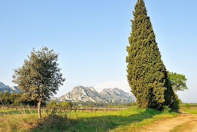 Alpilles - Provence - France