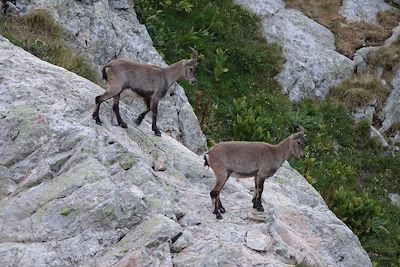 Parc national du Mercantour