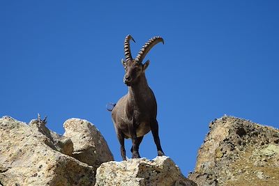 Parc national du Mercantour