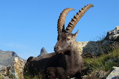 Mercantour - Alpes du Sud - France