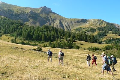 Haut Verdon - Hautes Alpes - France