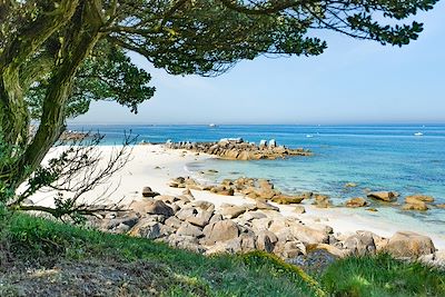 Côte de Granit rose - Bretagne - France