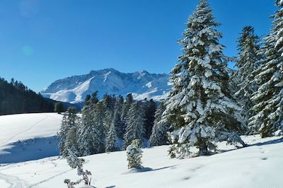 Plateau de Beyrède - Hautes-Pyrénées - France