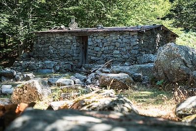 De Vizzavona à Bavella - Corse - France