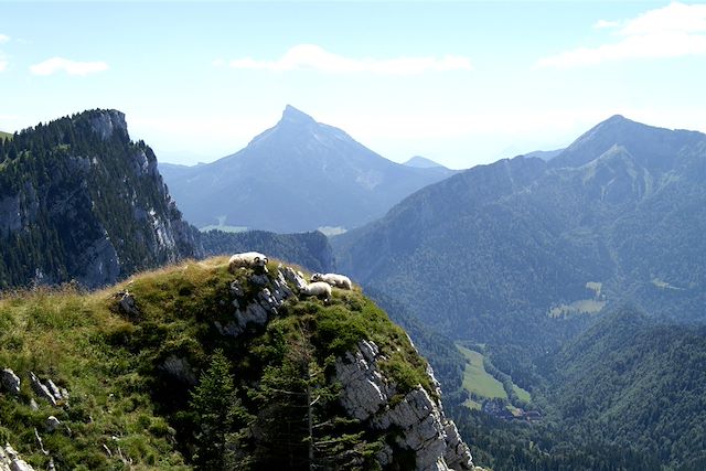 Voyage Découverte du massif de la Chartreuse