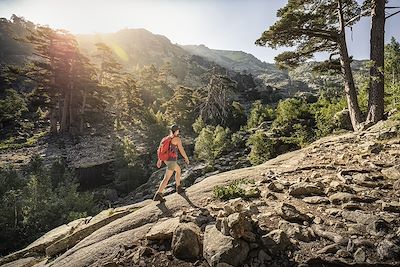 Trek France